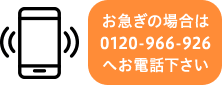 お急ぎの場合は0120-109-095へお電話下さい